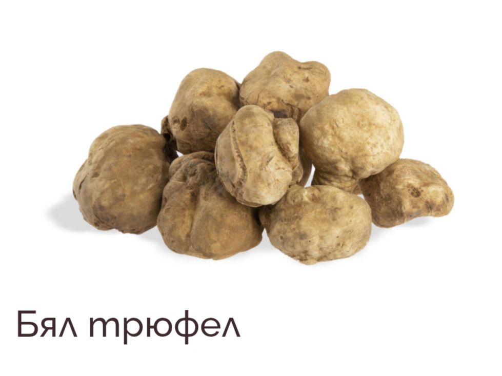 White Truffle